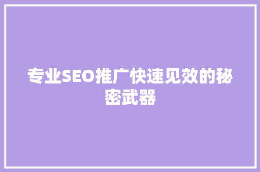 专业SEO推广快速见效的秘密武器