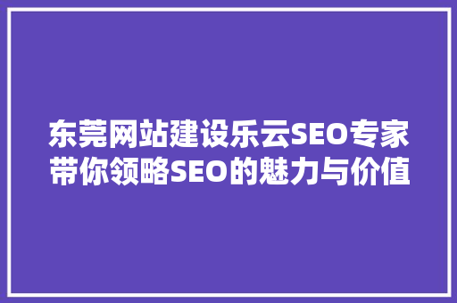 东莞网站建设乐云SEO专家带你领略SEO的魅力与价值