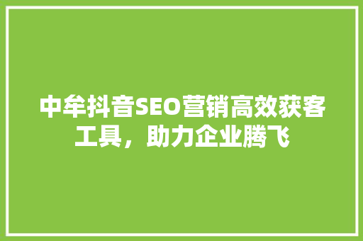 中牟抖音SEO营销高效获客工具，助力企业腾飞