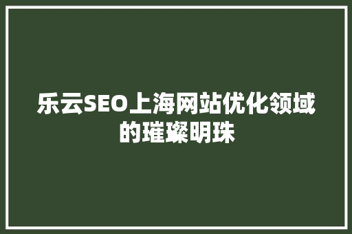 乐云SEO上海网站优化领域的璀璨明珠
