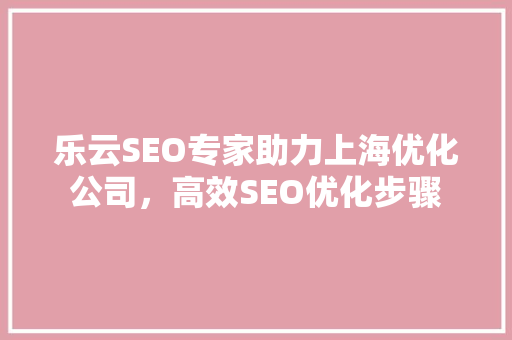 乐云SEO专家助力上海优化公司，高效SEO优化步骤