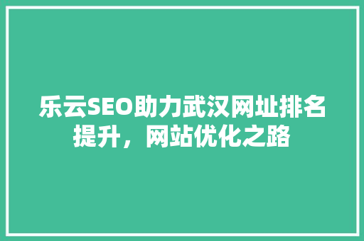 乐云SEO助力武汉网址排名提升，网站优化之路