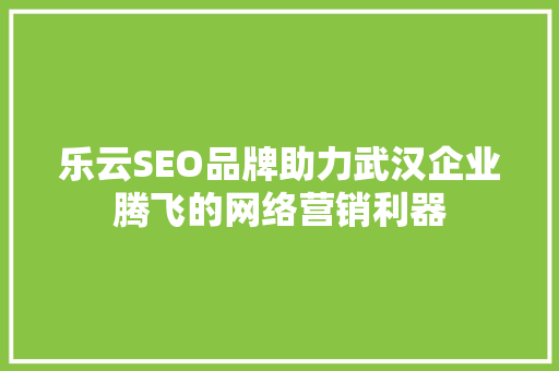 乐云SEO品牌助力武汉企业腾飞的网络营销利器