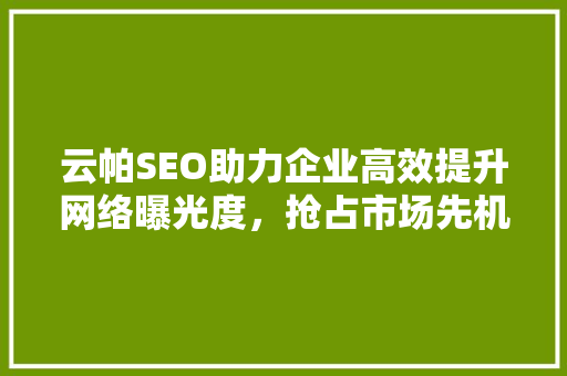 云帕SEO助力企业高效提升网络曝光度，抢占市场先机