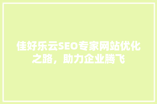 佳好乐云SEO专家网站优化之路，助力企业腾飞