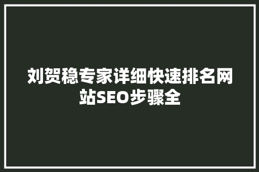 刘贺稳专家详细快速排名网站SEO步骤全