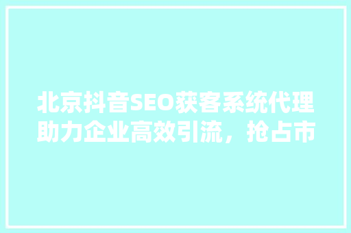 北京抖音SEO获客系统代理助力企业高效引流，抢占市场先机