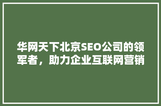 华网天下北京SEO公司的领军者，助力企业互联网营销新篇章