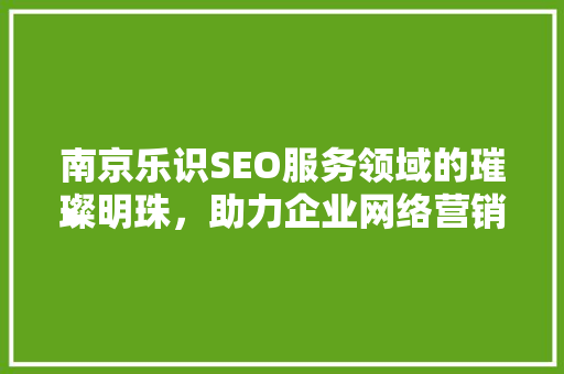 南京乐识SEO服务领域的璀璨明珠，助力企业网络营销腾飞
