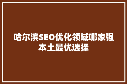 哈尔滨SEO优化领域哪家强本土最优选择