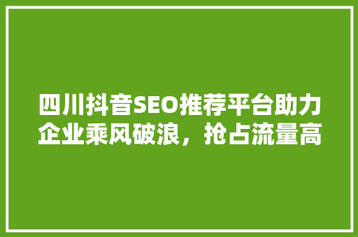 四川抖音SEO推荐平台助力企业乘风破浪，抢占流量高地