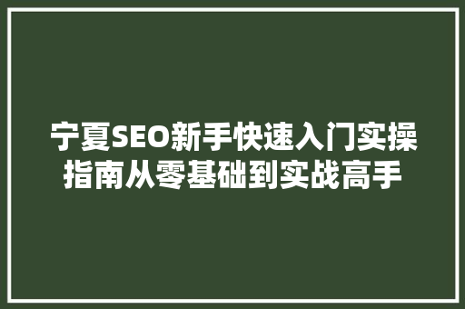 宁夏SEO新手快速入门实操指南从零基础到实战高手