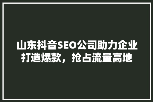 山东抖音SEO公司助力企业打造爆款，抢占流量高地