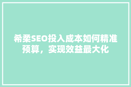 希柔SEO投入成本如何精准预算，实现效益最大化