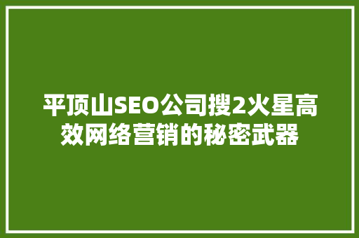 平顶山SEO公司搜2火星高效网络营销的秘密武器