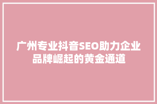 广州专业抖音SEO助力企业品牌崛起的黄金通道