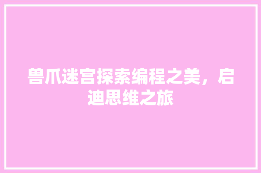 兽爪迷宫探索编程之美，启迪思维之旅