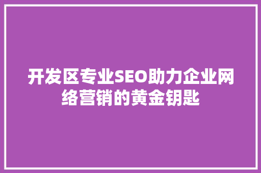 开发区专业SEO助力企业网络营销的黄金钥匙