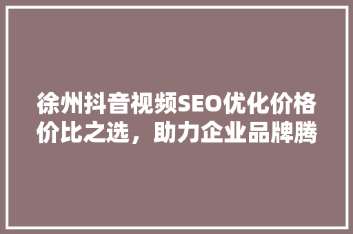 徐州抖音视频SEO优化价格价比之选，助力企业品牌腾飞