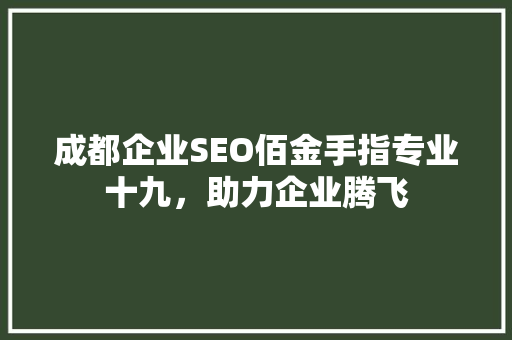 成都企业SEO佰金手指专业十九，助力企业腾飞