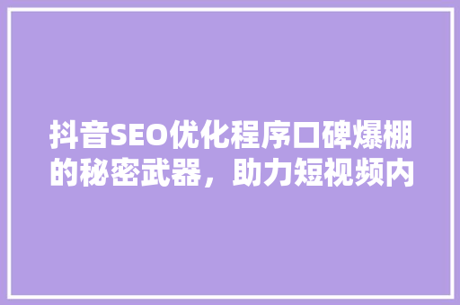 抖音SEO优化程序口碑爆棚的秘密武器，助力短视频内容快速崛起