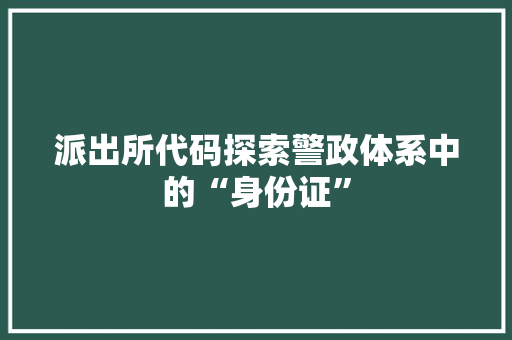 派出所代码探索警政体系中的“身份证”