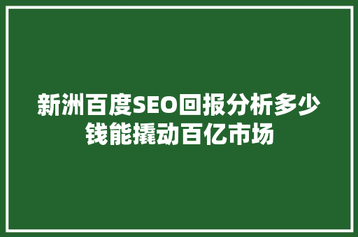 新洲百度SEO回报分析多少钱能撬动百亿市场