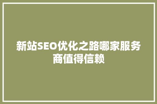 新站SEO优化之路哪家服务商值得信赖  第1张