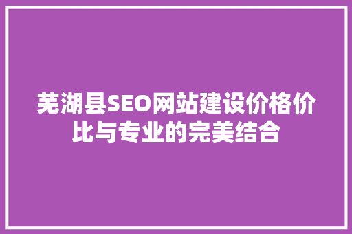芜湖县SEO网站建设价格价比与专业的完美结合