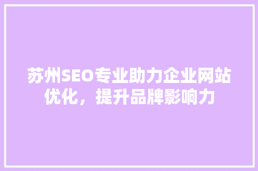 苏州SEO专业助力企业网站优化，提升品牌影响力