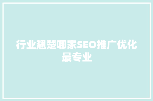 行业翘楚哪家SEO推广优化最专业