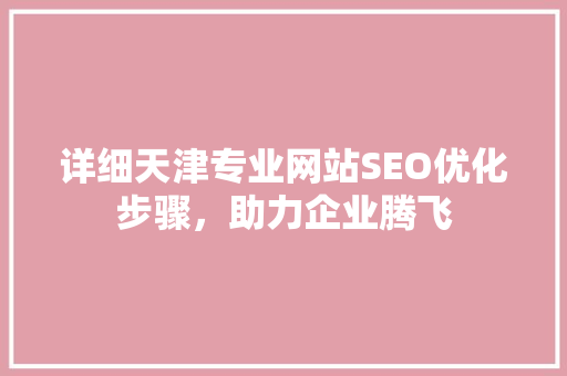 详细天津专业网站SEO优化步骤，助力企业腾飞