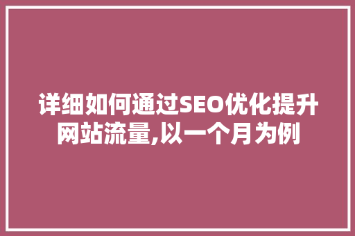 详细如何通过SEO优化提升网站流量,以一个月为例