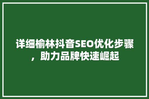 详细榆林抖音SEO优化步骤，助力品牌快速崛起