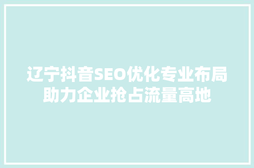 辽宁抖音SEO优化专业布局助力企业抢占流量高地