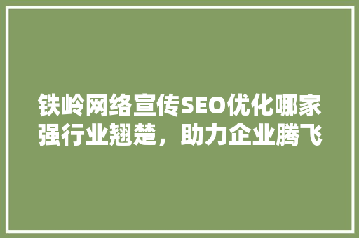 铁岭网络宣传SEO优化哪家强行业翘楚，助力企业腾飞  第1张