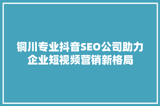 铜川专业抖音SEO公司助力企业短视频营销新格局