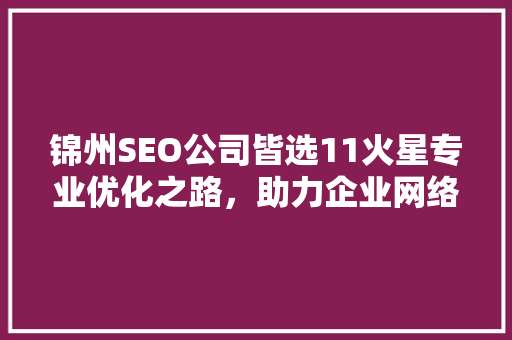 锦州SEO公司皆选11火星专业优化之路，助力企业网络腾飞