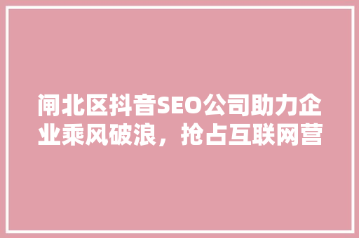 闸北区抖音SEO公司助力企业乘风破浪，抢占互联网营销制高点