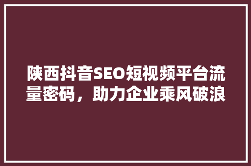 陕西抖音SEO短视频平台流量密码，助力企业乘风破浪