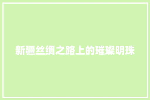 新疆丝绸之路上的璀璨明珠