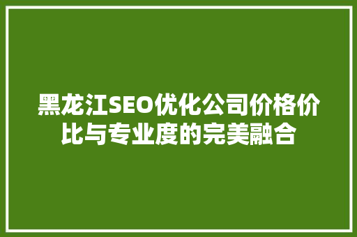 黑龙江SEO优化公司价格价比与专业度的完美融合