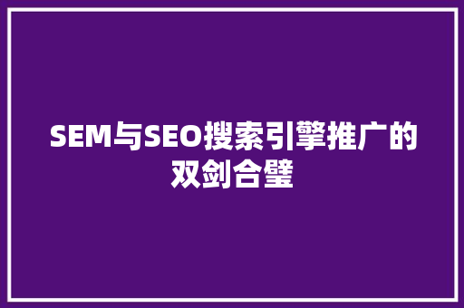 SEM与SEO搜索引擎推广的双剑合璧  第1张