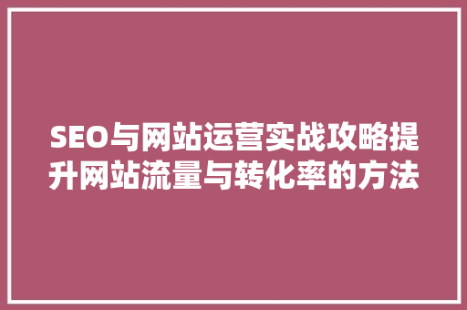 SEO与网站运营实战攻略提升网站流量与转化率的方法