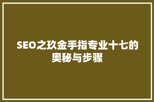 SEO之玖金手指专业十七的奥秘与步骤