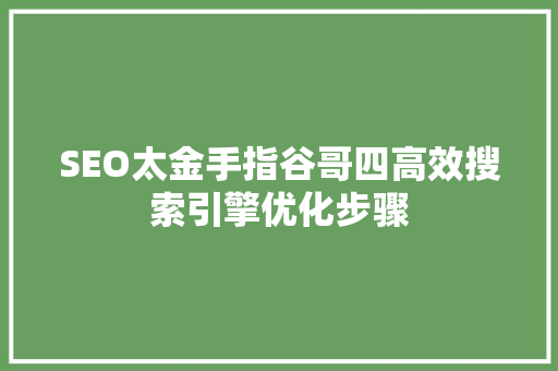 SEO太金手指谷哥四高效搜索引擎优化步骤