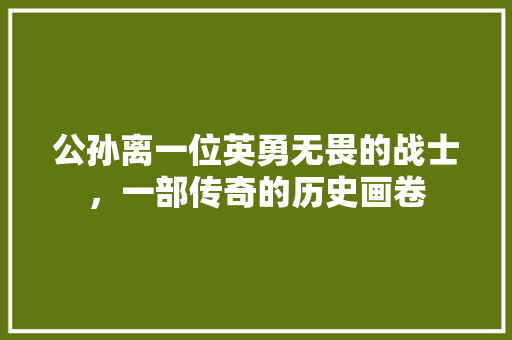 公孙离一位英勇无畏的战士，一部传奇的历史画卷