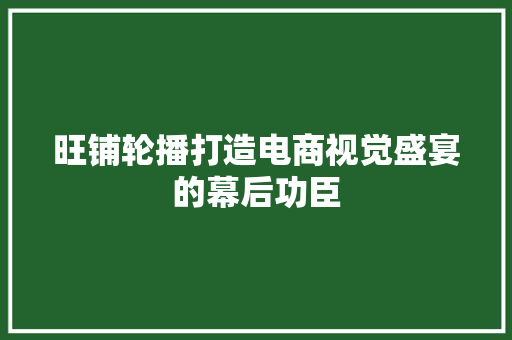 旺铺轮播打造电商视觉盛宴的幕后功臣