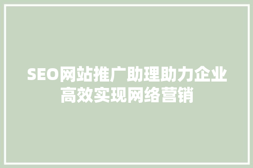 SEO网站推广助理助力企业高效实现网络营销
