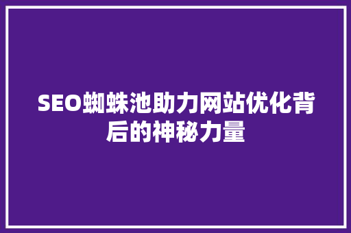 SEO蜘蛛池助力网站优化背后的神秘力量